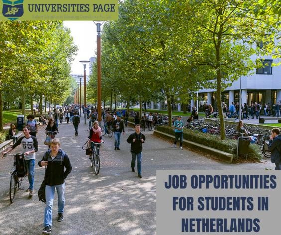 Job opportunities for Pakistani students in Netherlands